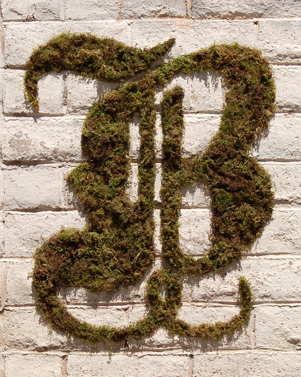moss graffiti What's up? I'm Sara.